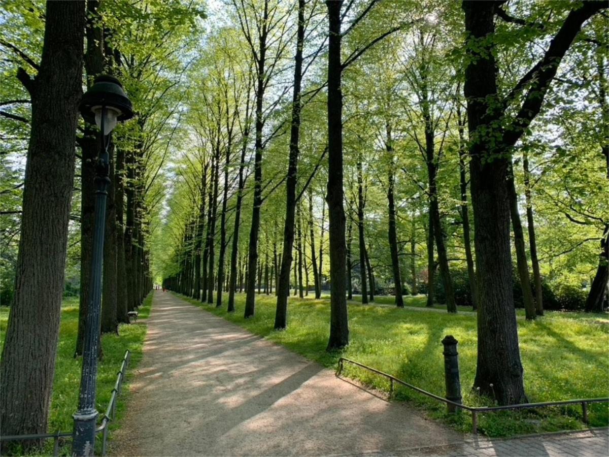 Lejlighed Am Suedwall *